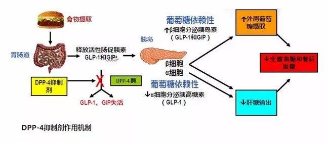 解析投资